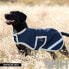 Фото #2 товара AMIGO WP Dog Jacket