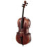 Фото #1 товара Gewa Maestro 6 Antique Cello 4/4