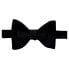 ფოტო #2 პროდუქტის HACKETT Silk Sized Bow Tie