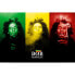 Фото #1 товара Постер Bob Marley Tricolor Pyramid для дома, интерьера - картины, постеры, гобелены, панно