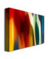 Amy Vangsgard 'Color Fury III' Canvas Art - 47" x 30"