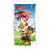 SAFTA Paw Patrol Funday Microfiber Towel