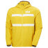 HELLY HANSEN Salt Striped windbreaker