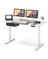 Height Adjustable Electric Standing Desk with USB Charging Port