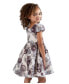 Toddler & Little Girls Burnout Organza Social Dress