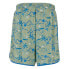 Фото #2 товара JUST RHYSE Waikiki shorts