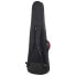 Reunion Blues Aero Series Bass Case BK