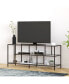 Фото #7 товара Winthrop TV Stand with Glass Shelves
