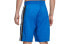 Nike Giannis CD9559-480 Shorts