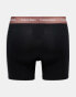 Фото #3 товара Calvin Klein cotton stretch boxer briefs 3 pack in black with coloured waistband