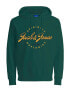 JACK & JONES Oscar hoodie