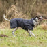 Фото #7 товара TRIXIE Calvi Dog Jacket