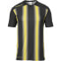 Фото #1 товара UHLSPORT Stripe 2.0 short sleeve T-shirt