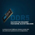 Фото #3 товара RAM-Speicher CRUCIAL DDR5-4800 SODIMM 32 GB (CT32G48C40S5)