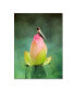 Фото #1 товара Jai Johnson 'Hummingbird And The Lotus Flower' Canvas Art - 32" x 24" x 2"