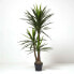 Фото #5 товара Искусственные цветы Homescapes Yucca Palme 150 см