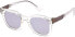 Фото #1 товара Diesel Unisex-Erwachsene DL0232 26C 49 Sonnenbrille, Transparent (Cristallo/Fumo Specchiato)