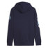 Фото #2 товара PUMA Manchester City Ftblicons hoodie