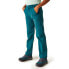 REGATTA Highton Pants