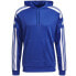 Фото #1 товара Sweatshirt adidas Squadra 21 Hoody M GP6436