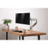 Фото #5 товара InLine desk mount w/ lift and USB/Audio - 2 monitors up to 81cm (32") 9kg,silver