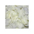 Фото #1 товара 100 Petals Color Vanilla