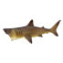 Фото #4 товара SAFARI LTD Basking Shark Figure
