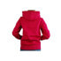 Фото #2 товара Champion Hooded Sweatshirt