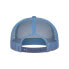 FLEXFIT Classique Plat Cap