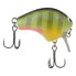 Shimano Bluegill MACBETH SHALLOW Crankbait (MB50SBG) Fishing