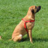Dingo Szelki Easy Walk dla psów ciągnących 61-90cm czarne