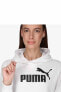 Ess Logo Hoodie Tr (s) Kadın Sweatshirt 586791 02 White