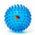 Фото #1 товара Сенсорный мяч Moltó 20 cm Синий