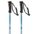 SALOMON Rental Anodized Poles