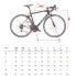 Фото #2 товара WILIER GTR Team Rim 105 2023 road bike