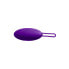 Bullet Vibrator Blush Wellness Purple