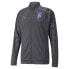 Фото #1 товара PUMA Neymar Jr Futebol Tr long sleeve T-shirt