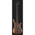 Warwick Teambuilt Corvette $$ 5 LTD NA