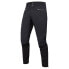 Endura MT500 Freezing Point pants