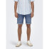 Фото #1 товара ONLY & SONS 220276 Shorts