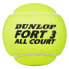 Фото #3 товара DUNLOP Fort TS All Court Tennis Balls