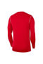 Erkek Spor Dry Park20 Crew Top Bv6875-657 Erkek Sweatshirt