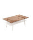 Фото #7 товара Modern Brown Glass Coffee Table