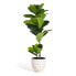 Kunstpflanze Ficus 155 cm