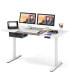 Electric Standing Desk 55'' x 28'' Height Adjustable Sit Stand with USB Charging Port