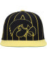 Фото #3 товара Men's Black Iowa Hawkeyes Team Pinstripe Snapback Hat