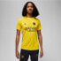 Фото #1 товара Nike PSG DF Academy Pro SS Top PM 4TH M DR4906 720