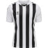 ფოტო #3 პროდუქტის HUMMEL Striped short sleeve T-shirt