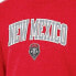 NCAA New Mexico Lobos Men's Heathered Crew Neck Fleece Sweatshirt - M