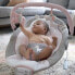 Фото #5 товара Ingenuity Soothing Baby Bouncer with Vibrating Infant Seat - Flora